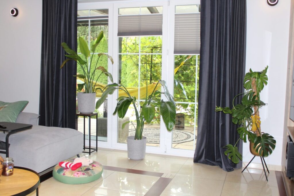 Dom, 620.00m²