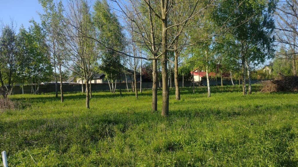działka budowlana, 1500.00 m²
